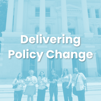 web - policy tile